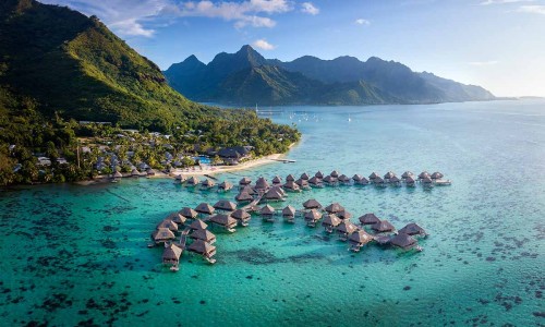 深海鱼豆腐的营养价值及功效网 - 网站提供深海鱼豆腐的营养价值及功效与禁忌小常识、深海鱼拼豆