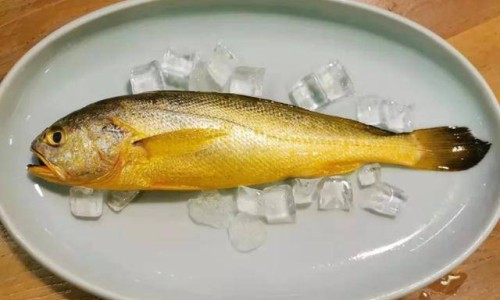 深海鱼豆腐的营养价值及功效与作用-深海鱼豆腐的营养价值及功效网 - 网站提供深海鱼豆腐的营养价值及功效与禁忌小常识、深海鱼拼豆