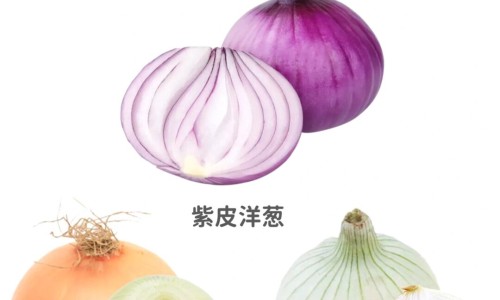 深海鱼豆腐的营养价值及功效与作用-深海鱼豆腐的营养价值及功效网 - 网站提供深海鱼豆腐的营养价值及功效与禁忌小常识、深海鱼拼豆