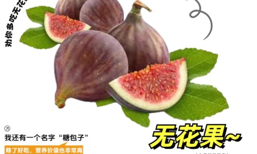 深海鱼与豆腐能同吃吗-深海鱼豆腐的营养价值及功效网 - 网站提供深海鱼豆腐的营养价值及功效与禁忌小常识、深海鱼拼豆
