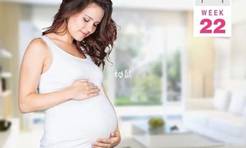 家常深海鱼炖菜-深海鱼豆腐的营养价值及功效网 - 网站提供深海鱼豆腐的营养价值及功效与禁忌小常识、深海鱼拼豆